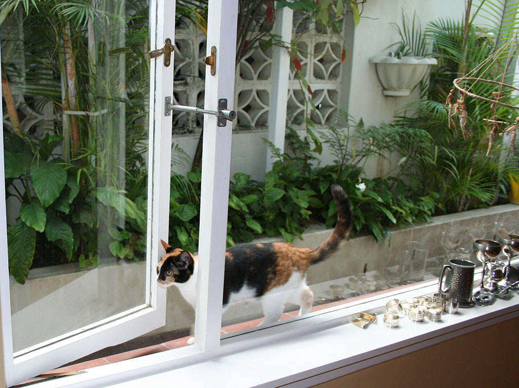 Need A Cat Flap Or Doggy Door Read, Diy Cat Door For Sliding Window